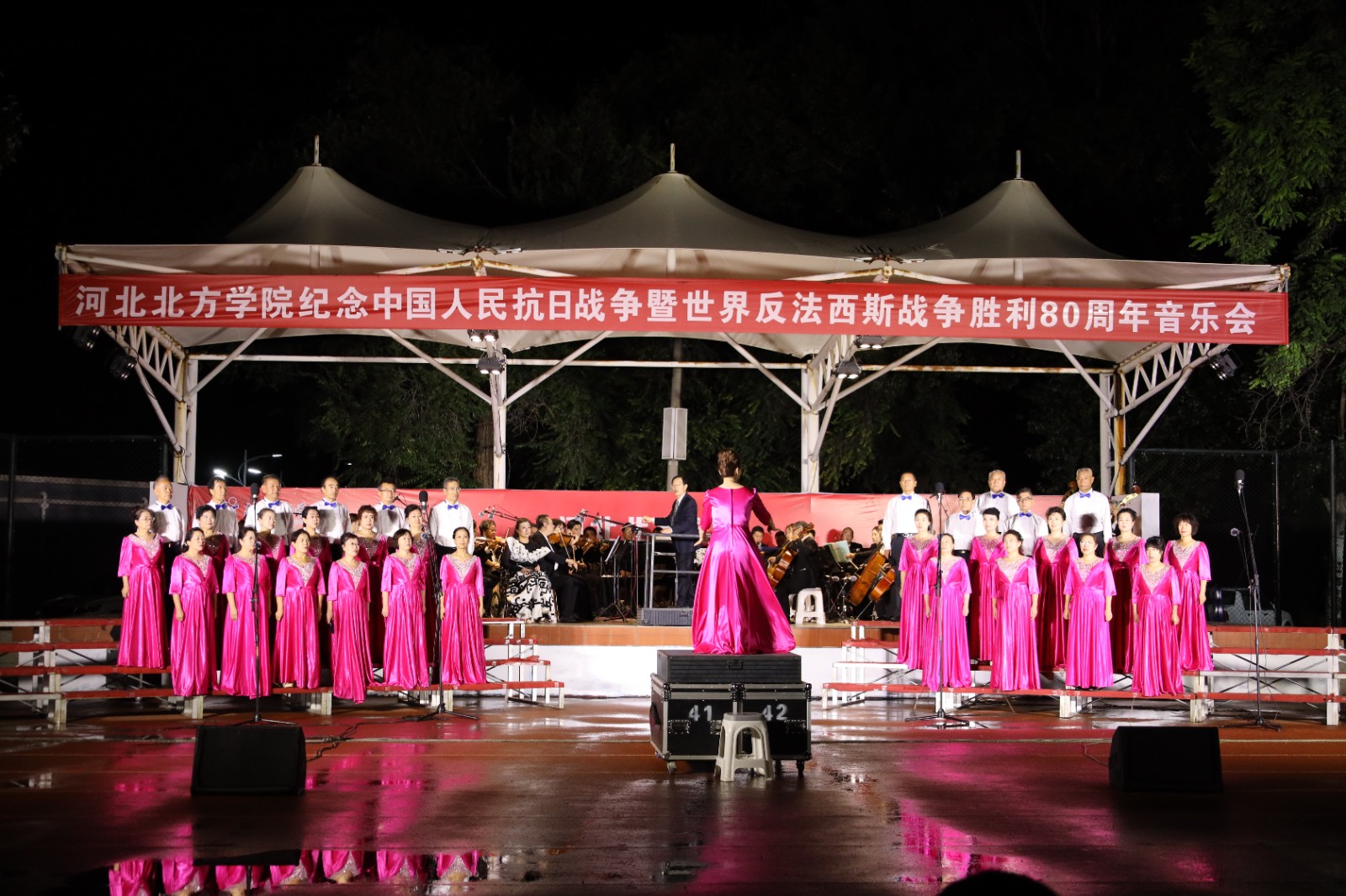 《毛主席的话儿记心上》.JPG