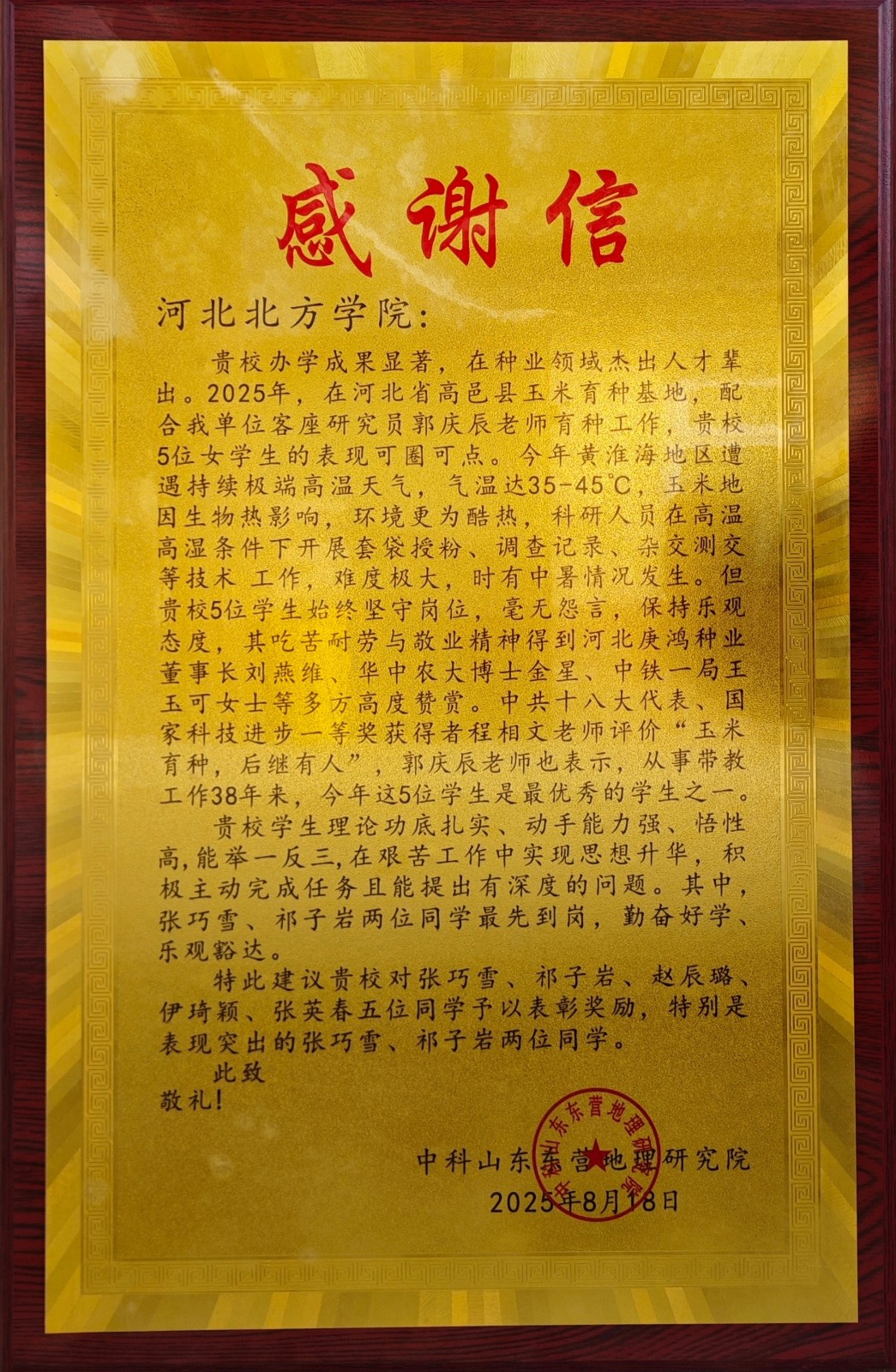 6909cbad7941e.jpg 3.jpg